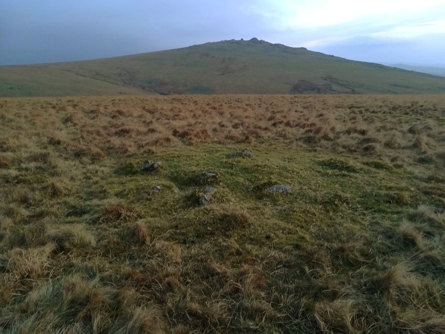 Click for full size image of Langstone Moor 2 (PID:240135) Langstone Moor 2