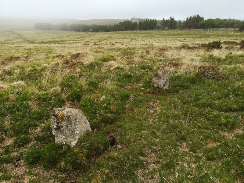 Click for full size image of Shovel Down stone circle (PID:230239) Shovel Down stone circle