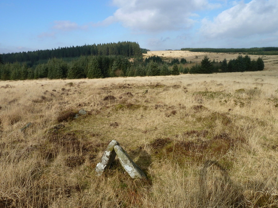 Click for the gallery page to add comments and vote (PID:165629) Bellever Tor N Settlement