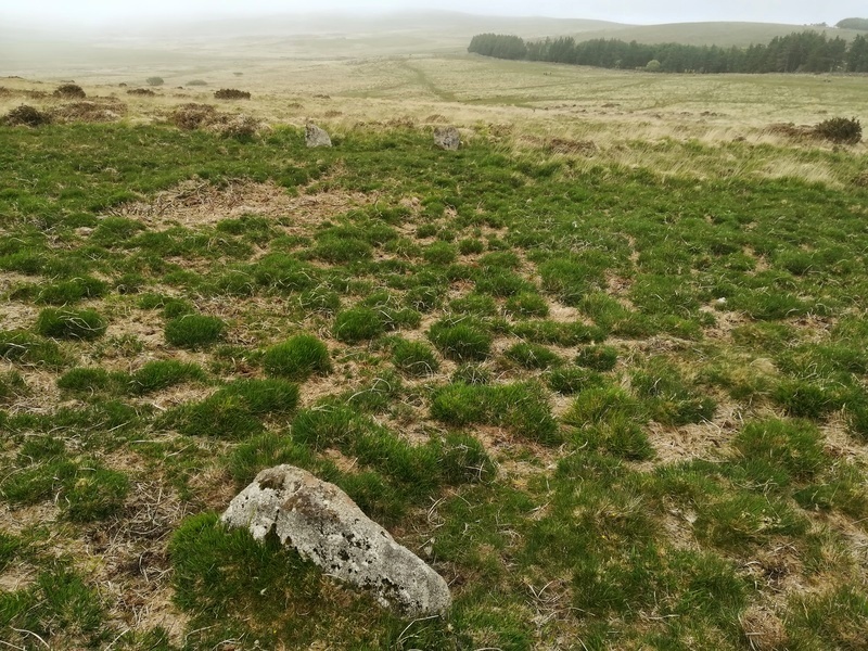 Click for full size image of Shovel Down stone circle (PID:230241) Shovel Down stone circle