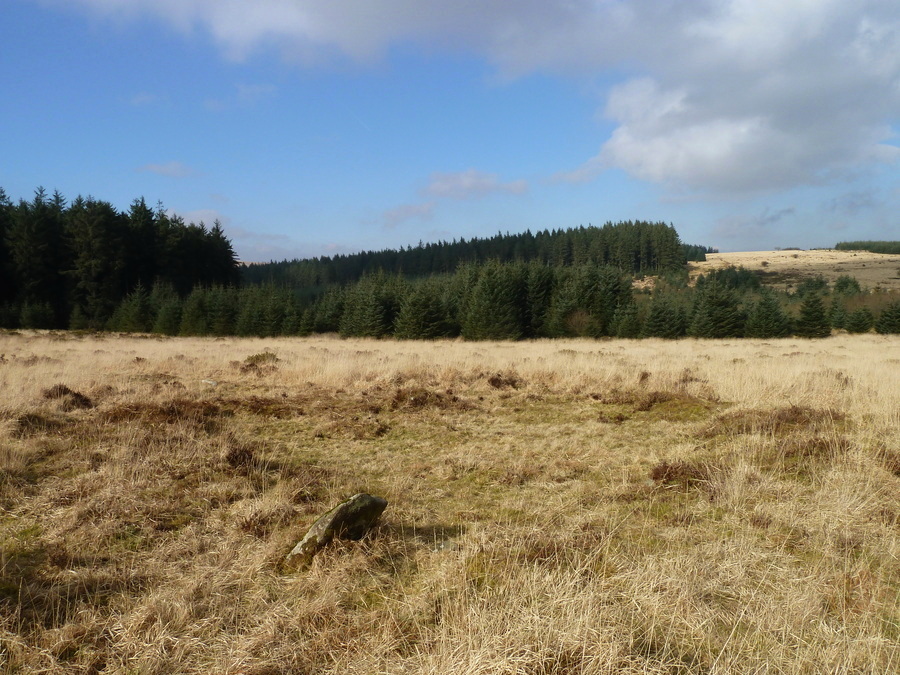 Another hut at Bellever Tor North settlement.
