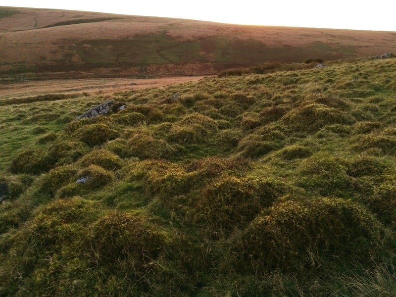 Huntingdon Warren Settlement, The Smaller Western hut of a Double hut inside the Western enclosure (SX65916635)
