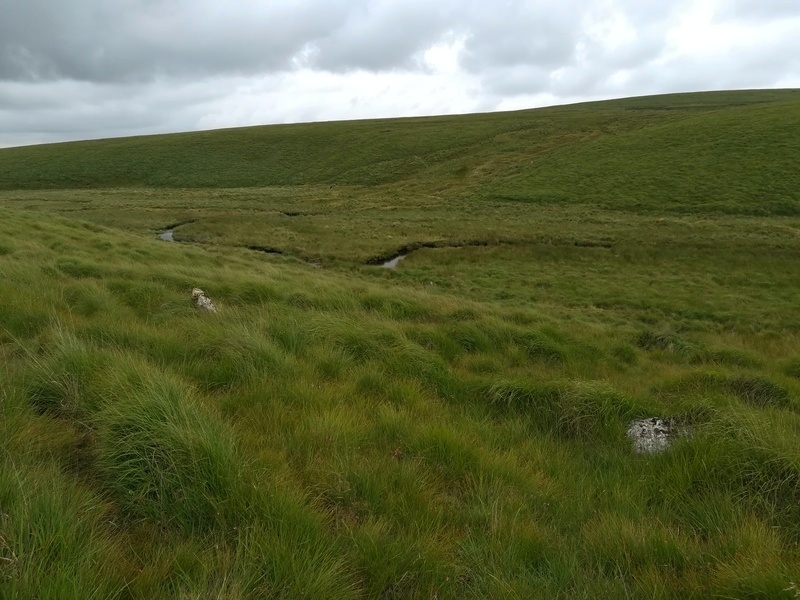 Click for full size image of Upper Erme Row (PID:235979) Upper Erme Row