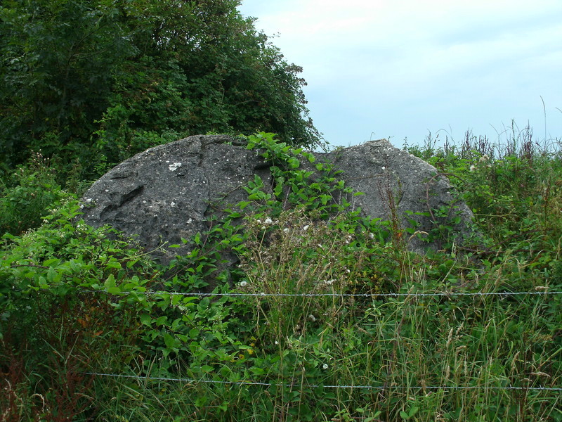 The sadly very overgrown and fenced Broadsands Chambered Tomb, What are we thinking of with our ancient monuments?