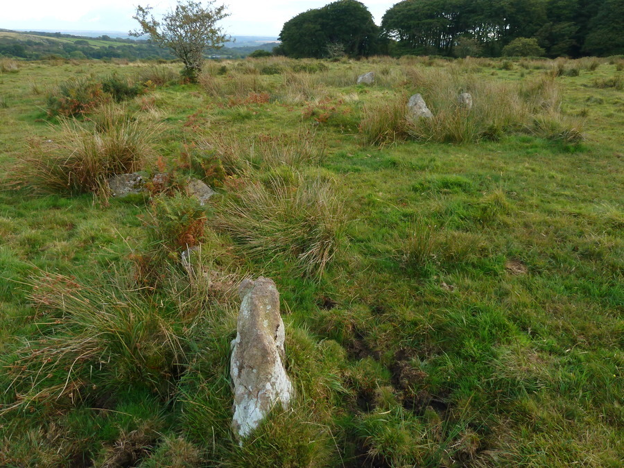 Click for the gallery page to add comments and vote (PID:174968) Burford Down Cairn Circle
