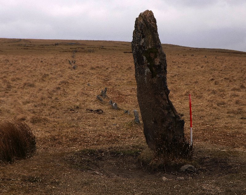 Drizzlecombe row 3
