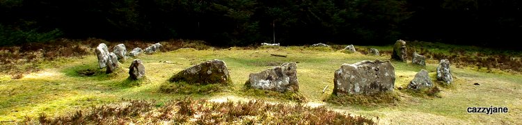 Soussons Common.   A charming little cairn circle easily reached as it is just next to the road.