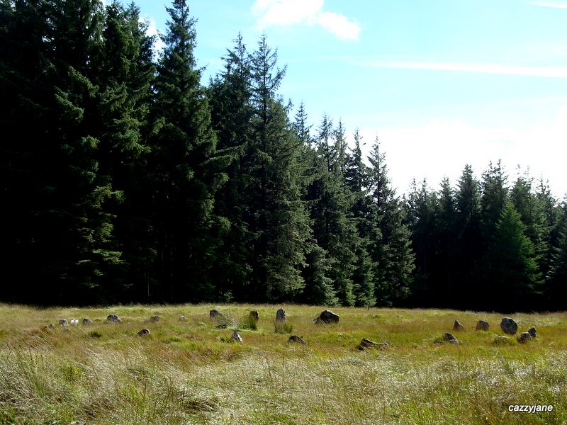 Fernworthy circle