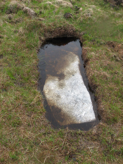 Sittaford Stone Circle