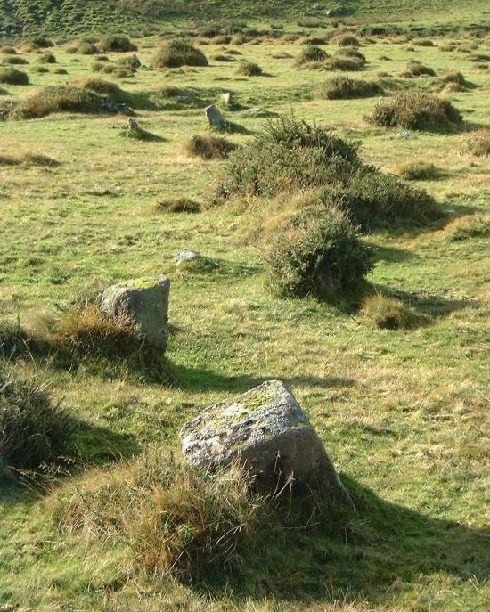 Cantrell stone rows looking southwest
