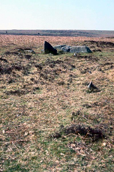 Click for full size image of Holne Moor (PID:643) Holne Moor