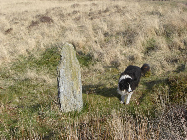 West Anstey Long Stone