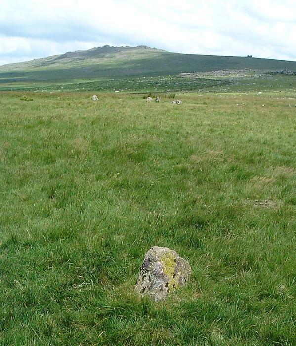 Click for full size image of Merrivale SW row 3 (PID:628) Merrivale SW row 3