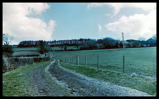 Click for the gallery page to add comments and vote (PID:90090) Musbury Castle