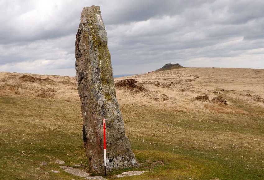 The Longstone (Shovel Down)