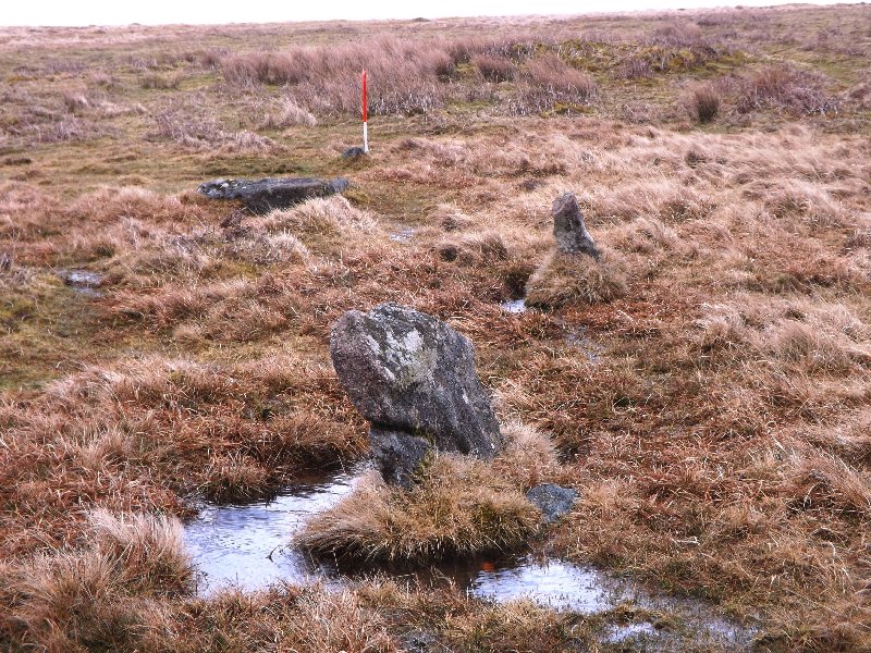Holne Ridge NE