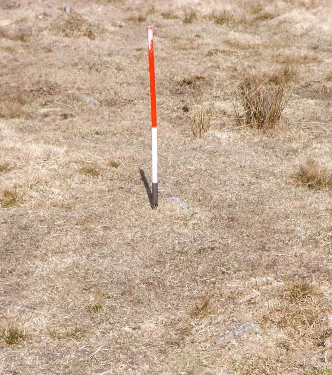 Tiny stones protruding through the turf are a characteristic of many Dartmoor rows.  These are often overlooked and seldom photographed. They are however an important characteristic of this type of site.