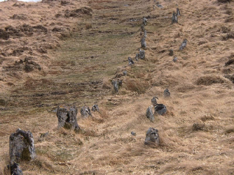Shovel Down row 4