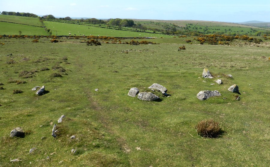Shaugh Moor Settlement