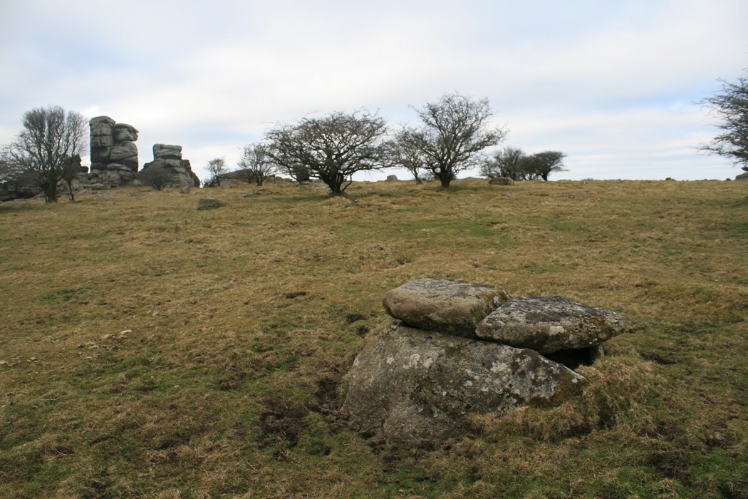 Vixen tor and the cist.