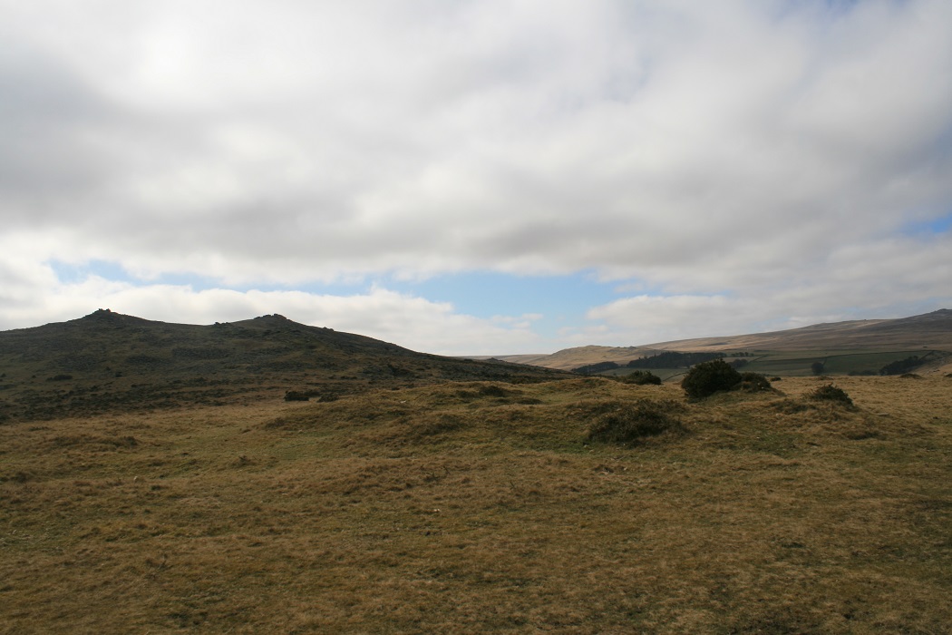 Belstone tor I presume to be in rear.