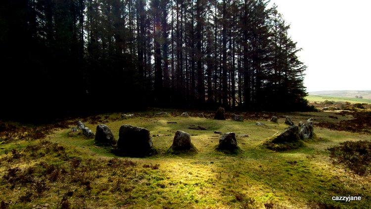 Soussons Common.   March 2012.