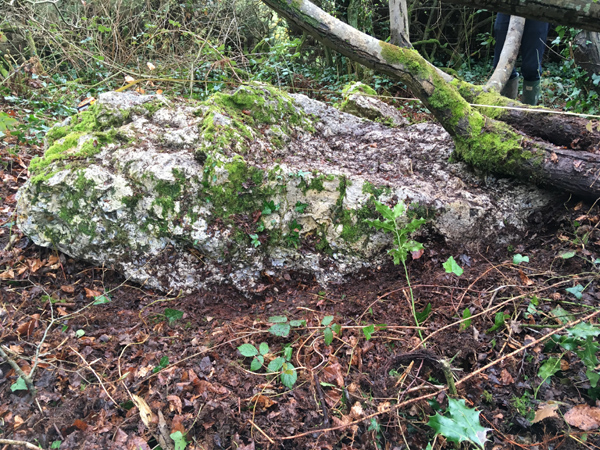 Click for the gallery page to add comments and vote (PID:180360) Salcombe Hill Standing Stone
