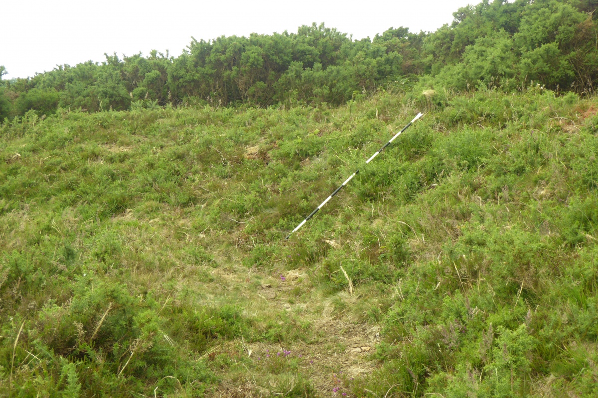 Third Roborough Down Earthworks