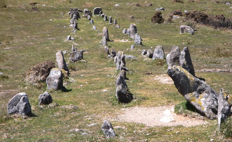 Cosdon Hill Multiple Stone Rows