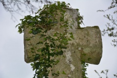 Hele Cross