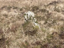 Stentifords Cross