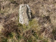 Stentifords Cross