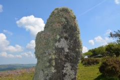 Week Down Cross