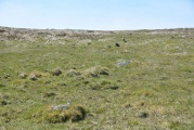 Click for full size image of Leeden Tor (PID:199712) Leeden Tor