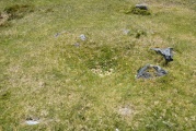 Merrivale Second Menhir and Cairn
