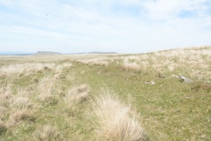 Drizzlecombe Settlement