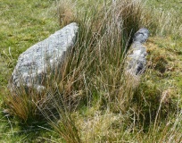 Drizzlecombe cist 22