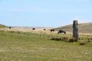 Click for full size image of Drizzlecombe row 1 (PID:199812) Drizzlecombe row 1