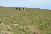 Click for full size image of Drizzlecombe cairn 3 (PID:199958) Drizzlecombe cairn 3