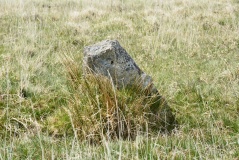 Standing Stone Near Cairn at Head of Drizzlecombe Row 4