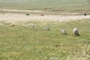 Click for full size image of Drizzlecombe row 3 (PID:199964) Drizzlecombe row 3
