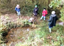 St Petrock's Well Devon