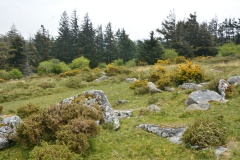 Kestor Settlement