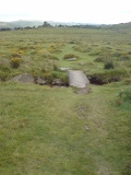 Vixen Tor
