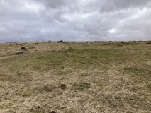 Gidleigh Common Cairns