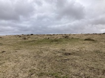 Gidleigh Common Cairns