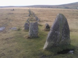 Merrivale Centre Row - PID:212711