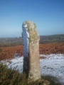 Week Down Cross - PID:212708