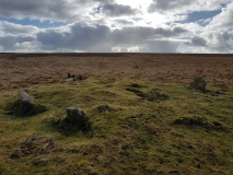 Stalldown North