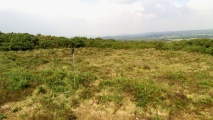 Click for full size image of Third Roborough Down Earthworks (PID:212692) Third Roborough Down Earthworks